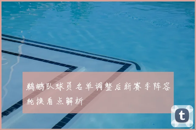 鹈鹕队球员名单调整后新赛季阵容轮换看点解析