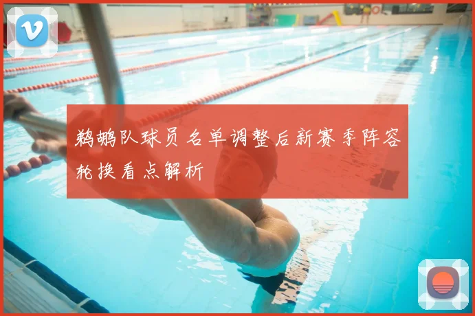 鹈鹕队球员名单调整后新赛季阵容轮换看点解析
