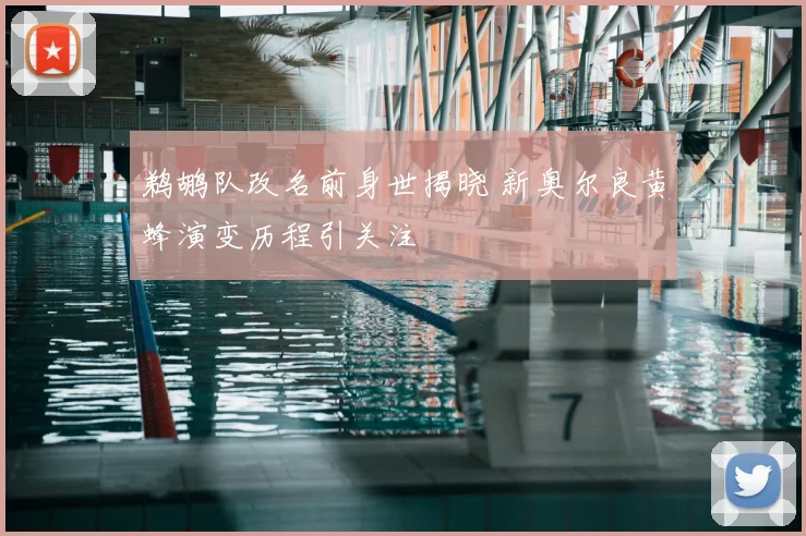 鹈鹕队改名前身世揭晓 新奥尔良黄蜂演变历程引关注