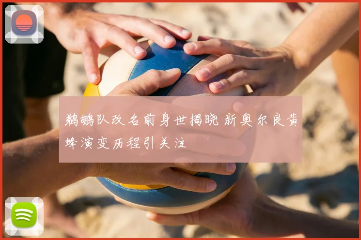 鹈鹕队改名前身世揭晓 新奥尔良黄蜂演变历程引关注