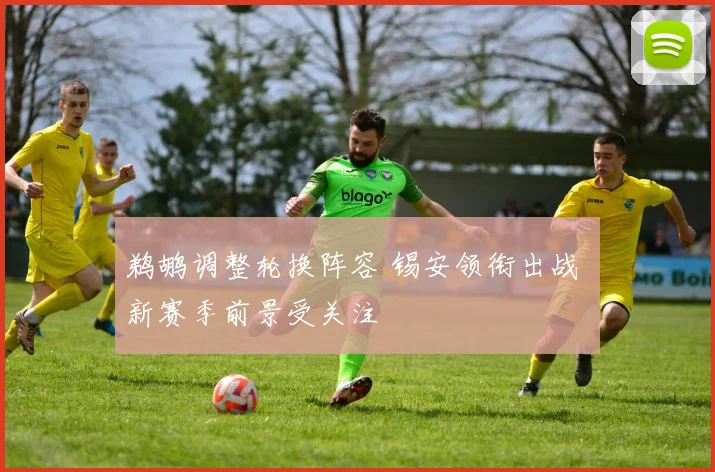 鹈鹕调整轮换阵容 锡安领衔出战 新赛季前景受关注
