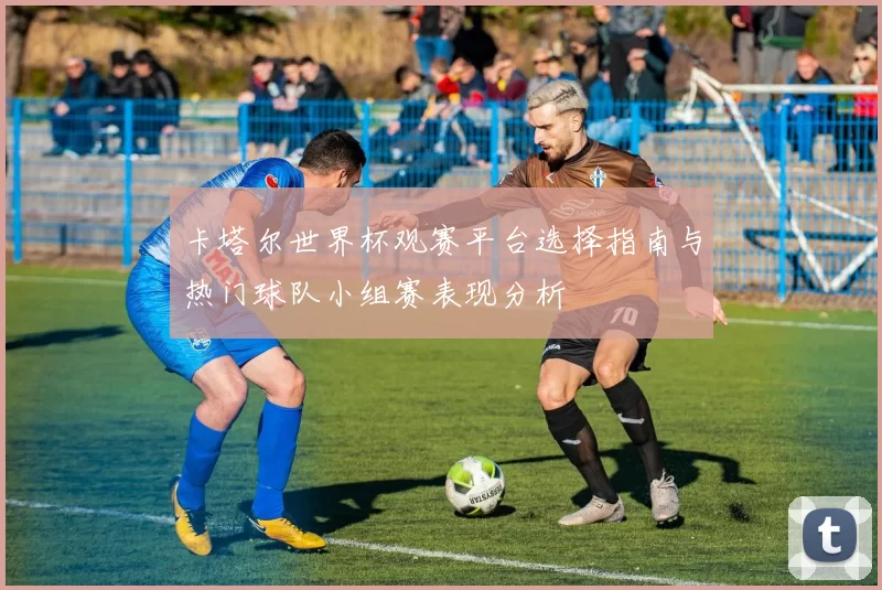 卡塔尔世界杯观赛平台选择指南与热门球队小组赛表现分析