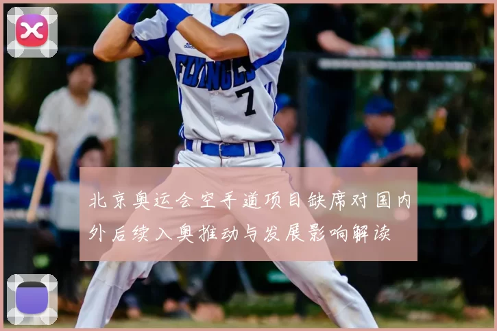 北京奥运会空手道项目缺席对国内外后续入奥推动与发展影响解读