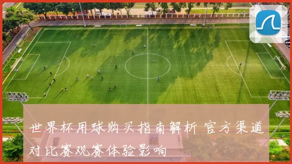 世界杯用球购买指南解析 官方渠道对比赛观赛体验影响