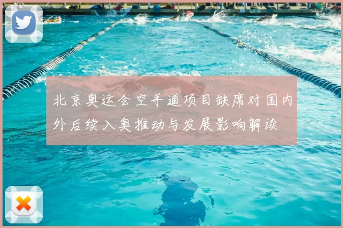 北京奥运会空手道项目缺席对国内外后续入奥推动与发展影响解读